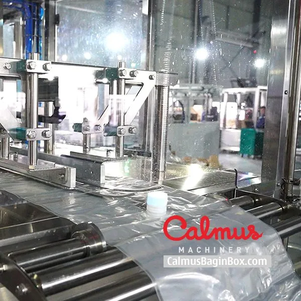 Bag in Box Filling Machine for Fully-automatic Liquid Packaging photo-2