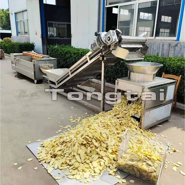 Automatic Ginger Peeling and Slicing Processing Equipment