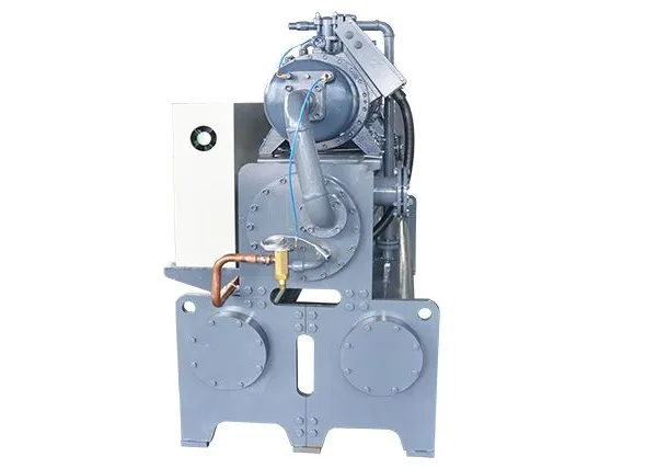 CKG-160W Industrial Water Cooled Screw Chiller for Chemical Industry photo-4