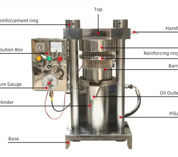 Oil Pressing Machine Tea Seed Sesame Hydraulic Press, Commercial Full-automatic Vertical Press, Sesame Oil Machine photo-6