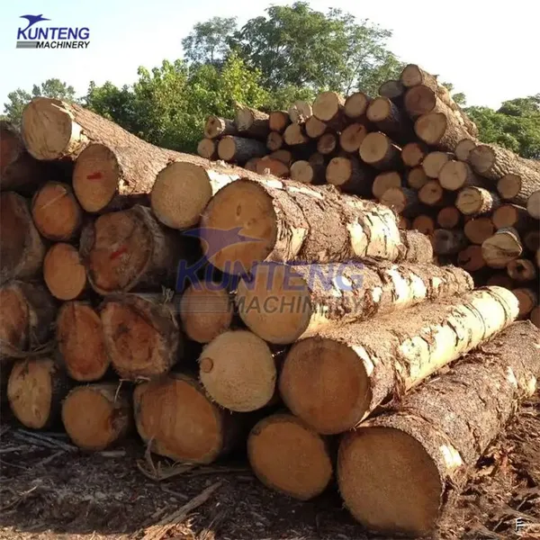 Industrial Block Wood Drying Kiln Hardwood Bamboo Plywood Drying Machine EPC photo-4