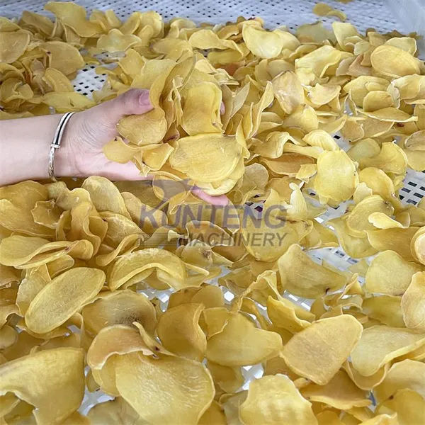 Heat Pump Pepper Washing Drying Machine Dehydrated Vegetable Dried Dryer Machine for Potato Chip Root Curcuma Dry EPC photo-5