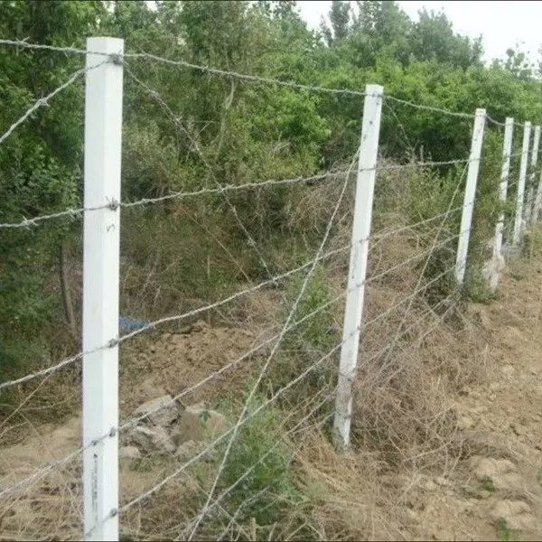 304 Stainless Steel Barbed Wire 1.8mm Diameter 4-Point 50m Coil Rust Proof Security Fence photo-3