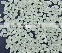 ROUND GRAIN RICE JAPONICA 5 % Broken