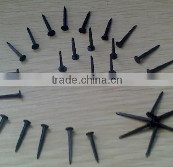 Blued Shoe Tack Nails photo-2