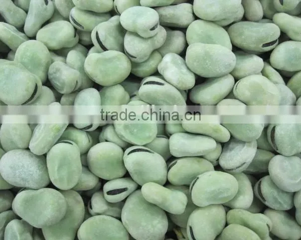 Frozen Broad Bean photo-2