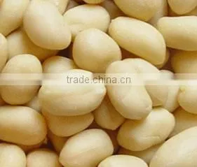 New Crop Blanched peanut kernels