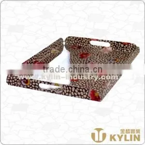 Acrylic Serving Tray