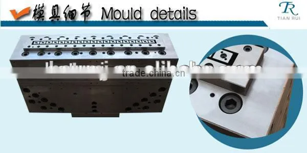 WPC/ PVC Hollow Door Plate Mould Die photo-6