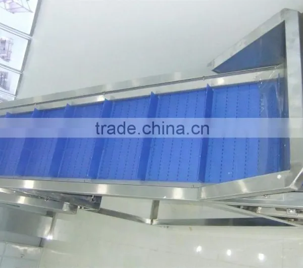 100kg/h Fried Potato Chips Production Line photo-2