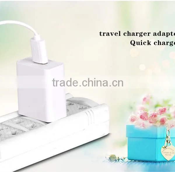Economic Promotional Usb ac Power Adapter Home Wall Charger (MX520U) 2A photo-5