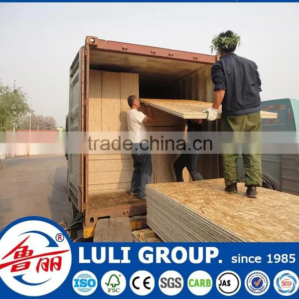 12mm Osb for Sale photo-4