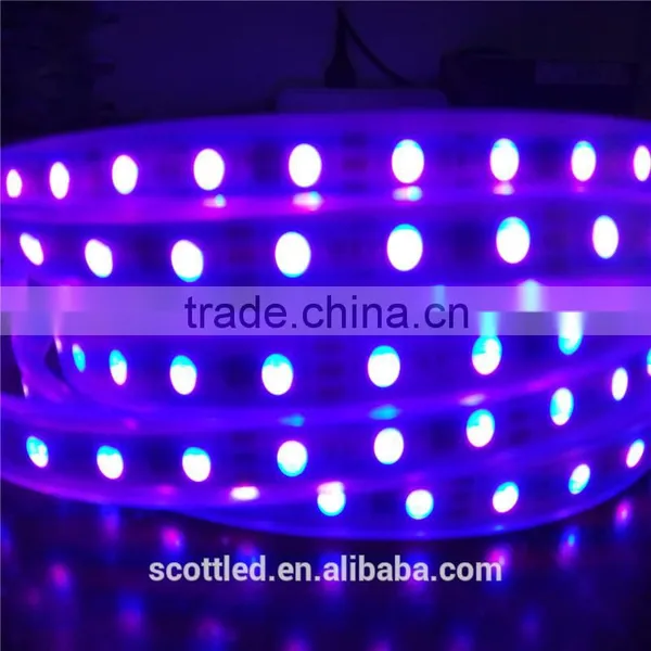 Waterproof IP67 Decoration DC12V SMD5050 60 Leds WS2811 Digital Led Tape/WS2811 Led Strip photo-5