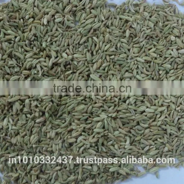 Fennel Seeds Green Colour photo-3