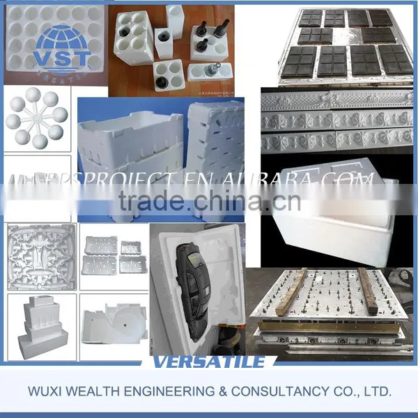 EPS Foam Shape Moulding Fish Box Making Machine photo-6
