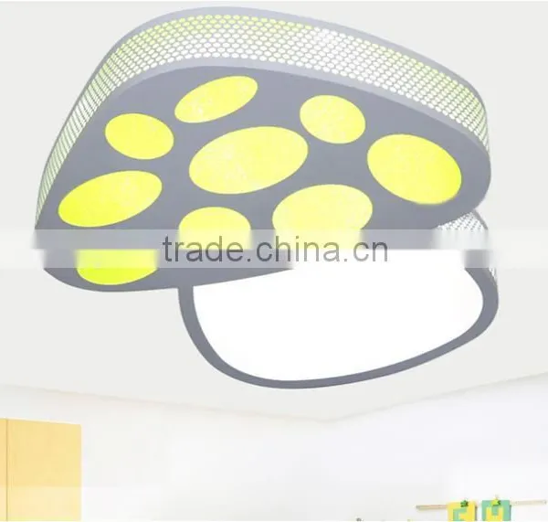 High Quality Arcylic Ceiling Lighting,LED Ceiling Lighting Fixturer for Baybe Room photo-2