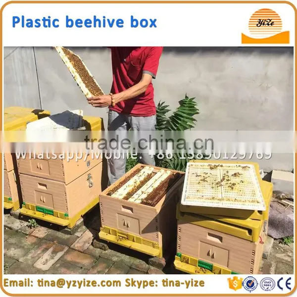 Plastic Hive , Beehive for Sale photo-6