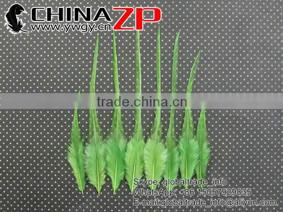 Top Supplier ZPDECOR Wholesale Good Quality Cheap Dyed Aqua Chicken Rooster Saddle Feathers for Show photo-4