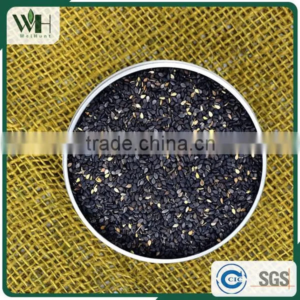 Reputable Suppliers of Black Sesame Yield photo-3