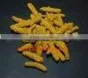 Indian Fresh Turmeric