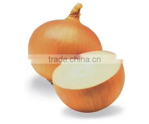 Fresh Yellow Onion photo-3