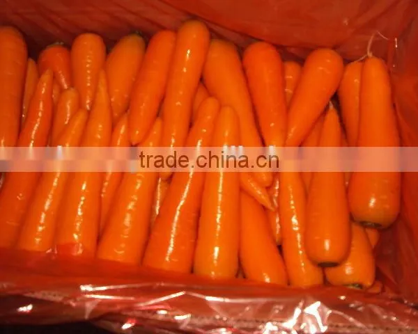 Chinese fresh carrot