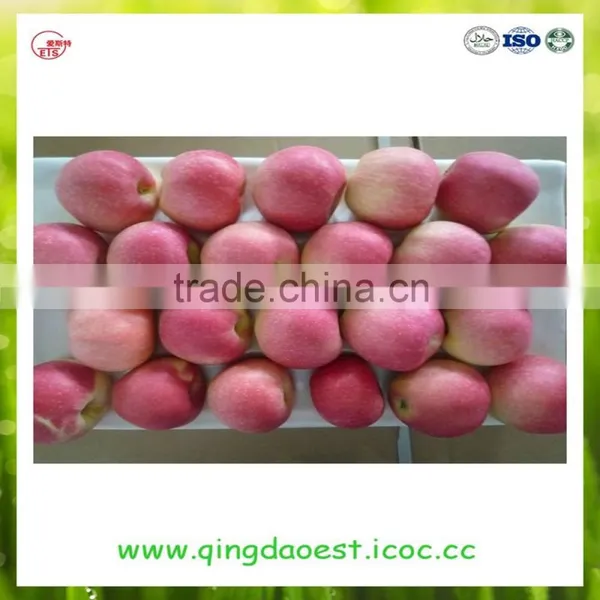 2016 YanTai Fresh Royal Fruits Hot Sale Red Gala Apple photo-2