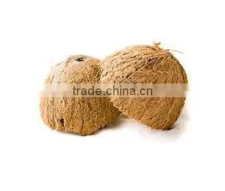 High Quality Cheap Coconut Shell Supplier