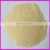 dehydrated garlic paste