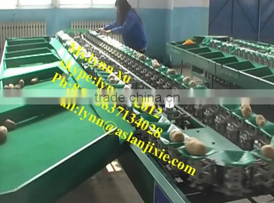 Fruit Sorting Machine by Weight /apple Sorting Machine photo-2