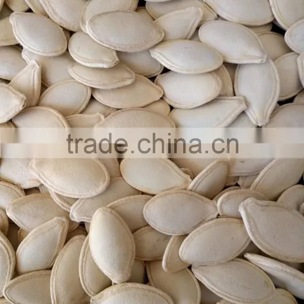 Shine Skin Pumkin Seeds 9-11mm With Good Price photo-3