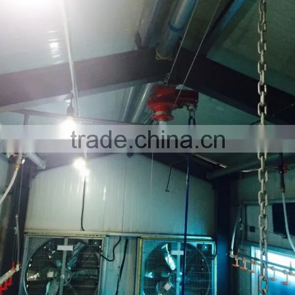 Environmental Controlled Automatic Prefabricated Poultry House for Broiler and Layer photo-3