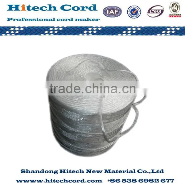 PP Raffia Twine for Packaging photo-3