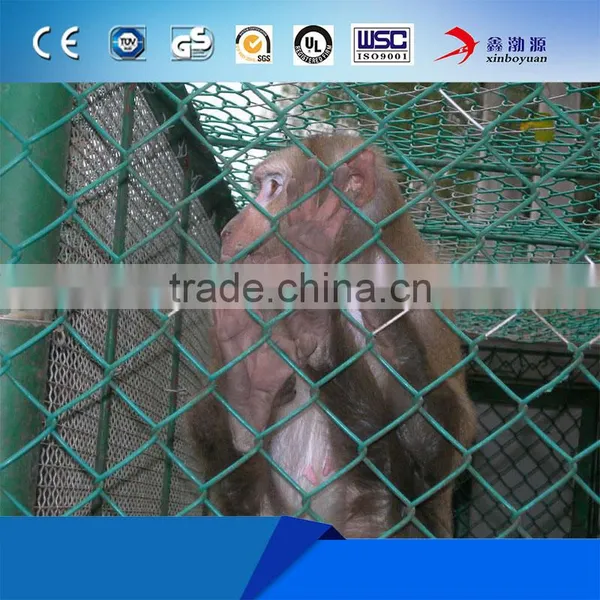7.5'X7.5'X4' Chain Link Pet Enclosure photo-4