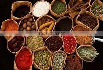 TN Series Multifunctional Traditional Chinese Medicine Extractor and Concentrator photo-4