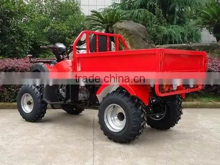 Hot Selling New Farm ATV ATV Quad For Farm Use photo-5