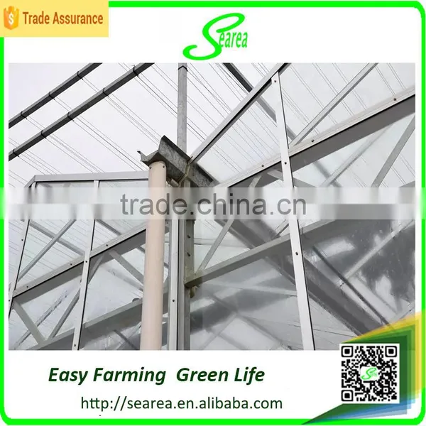Modern Agricultural Equipments Glass Commercial Greenhouses photo-4