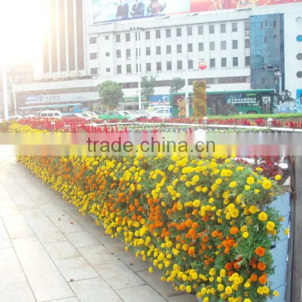 SOL 2015 NEW DESIGN Vertical Green Green Wall Planter Plastic Green Wall Planter photo-4