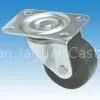Castor010