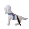 Pet Harness F-014blue