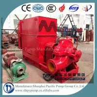 Water Pump With High-voltage Motor