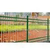 Fence/Iron Door