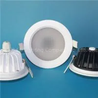 10W IP65 LED Downlight