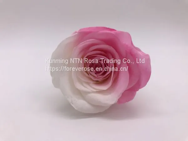 Preserved Rose Preserved Flowers Dried Flowers Birthday Valentine Party Wedding photo-4