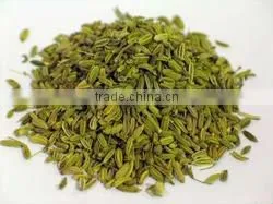 Fennel Seed