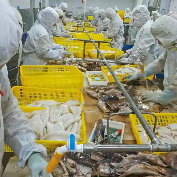 Yantai Transocean Foodstuff Co.,Ltd company overview - view 3