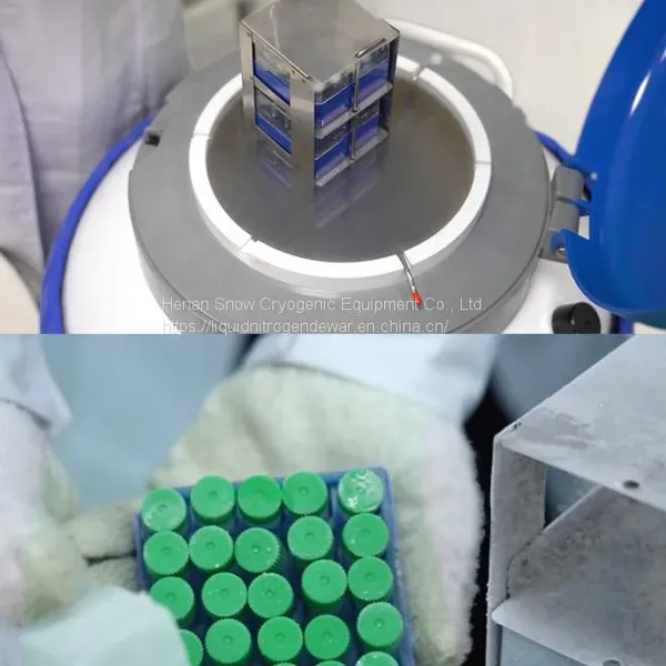 KGSQ Laboratory Dewar_cell Freezing Container Price In Malaysia photo-4