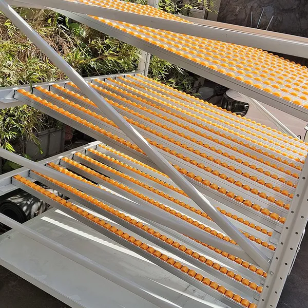 Sliding Roller Gravity Flow Shelving for Optimized Warehouse Storage Space photo-3