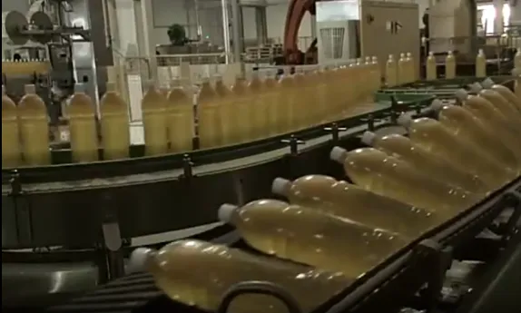 Pumpkin Fruit Processing Production Line Equipment Manufacturing, Pumpkin Pulp Processing Machinery, Pumpkin Juice Processing photo-2