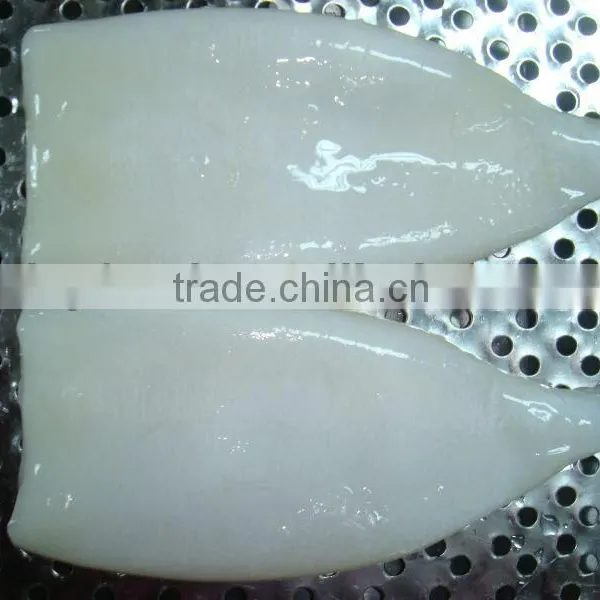 Frozen Squid Tube U3 U5 U10
